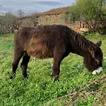 カーサ ダス クィンタス ゲストハウス Quinta das Quebradas