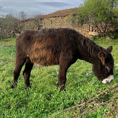 Casa בית הארחה Quinta das Quebradas