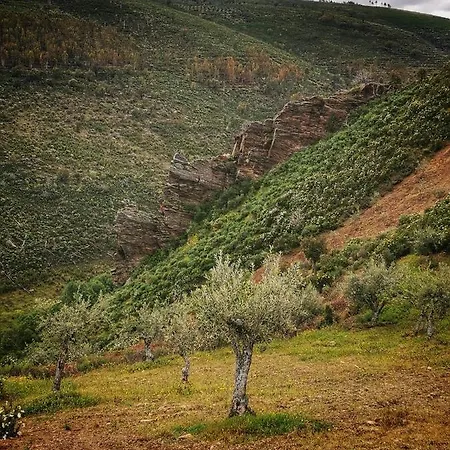 Casa בית הארחה