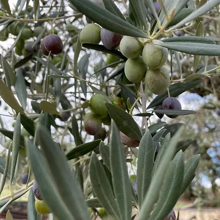 Casa Das Quintas Гостевой дом 4*