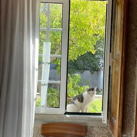 Casa 4* Quinta das Quebradas