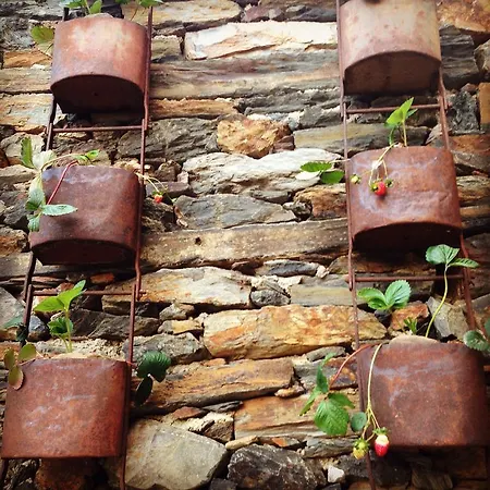 Casa בית הארחה Quinta das Quebradas