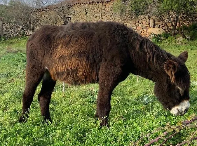 Casa Penzion Quinta das Quebradas