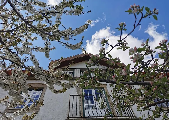 Maison d'hôtes Casa 4*