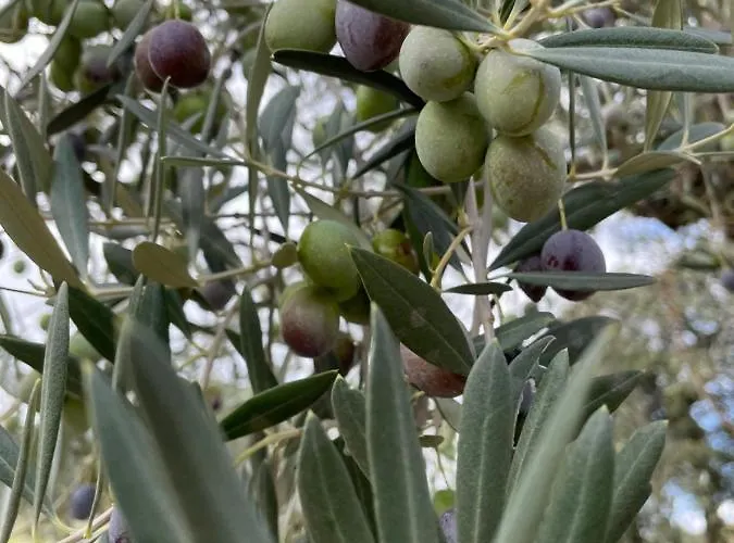 Casa Maison d'hôtes 4*